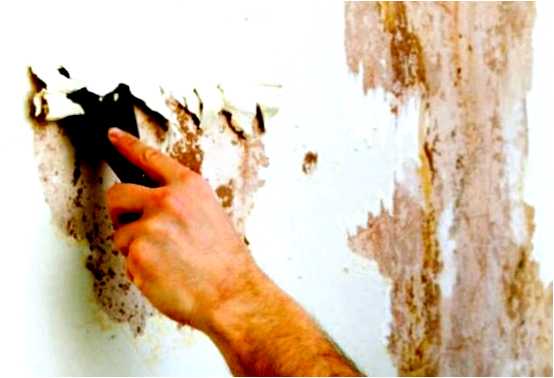 Как избавиться от старой краски на стенах