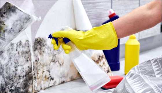 Как очистить стены от старых обоев и краски