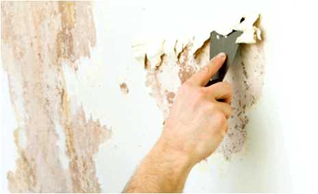 Как подготовить стены к покраске после старой краски